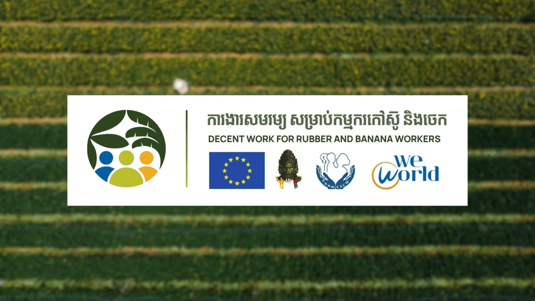 Promoting Decent Work Conditions for Plantation Workers in Cambodia